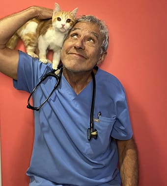 Dr. Beltran, Monterey Park veterinarian