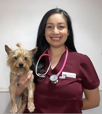 Dr. Trujillo, Monterey Park veterinarian